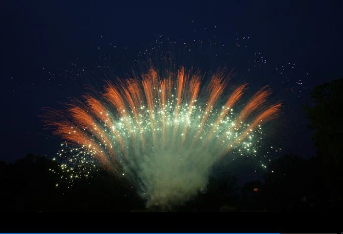 130 txhaj tshuaj Z Zoo li zaub ncuav mog qab zib foob pob hluav taws 1.3G